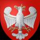 Флаг и герб Польши: описание и история