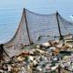 Нерестовый запрет на ловлю рыбы по регионам рф Почему запрещена рыбалка сетями в удмуртии